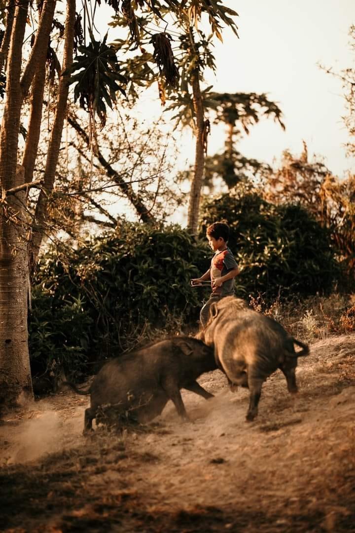 10 Days Northern Luang Prabang Trekking Loop